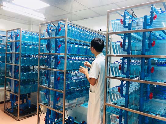 人生就是博-尊龙凯时中国官网